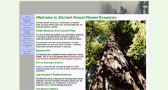 Desktop Screenshot of ancientforestessences.com