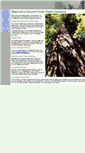 Mobile Screenshot of ancientforestessences.com